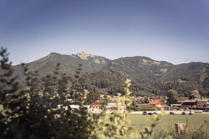 Z'haus Sankt Gilgen